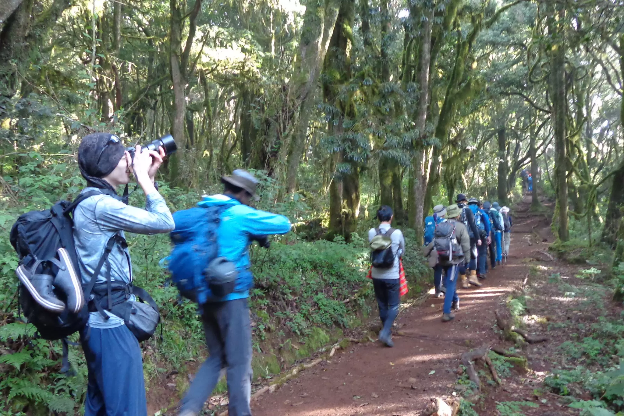 1-Day-Kilimanjaro-hike-via-Marangu-Route