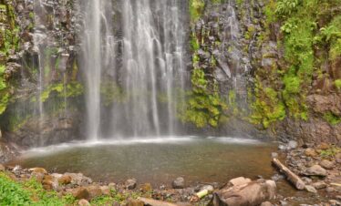 9 Days Luxury Lodge Safari Tanzania