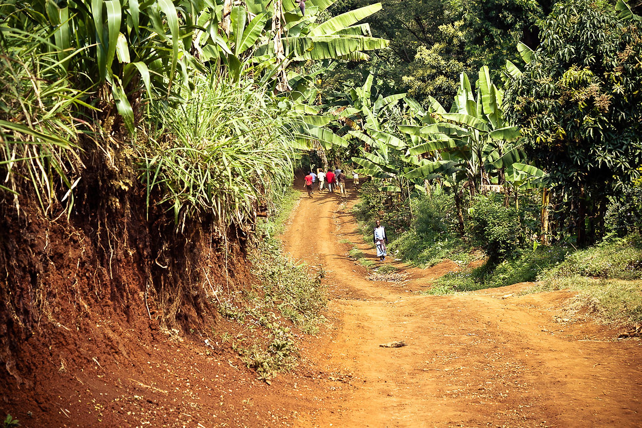 Materuni_Waterfalls_Walking_Path_06