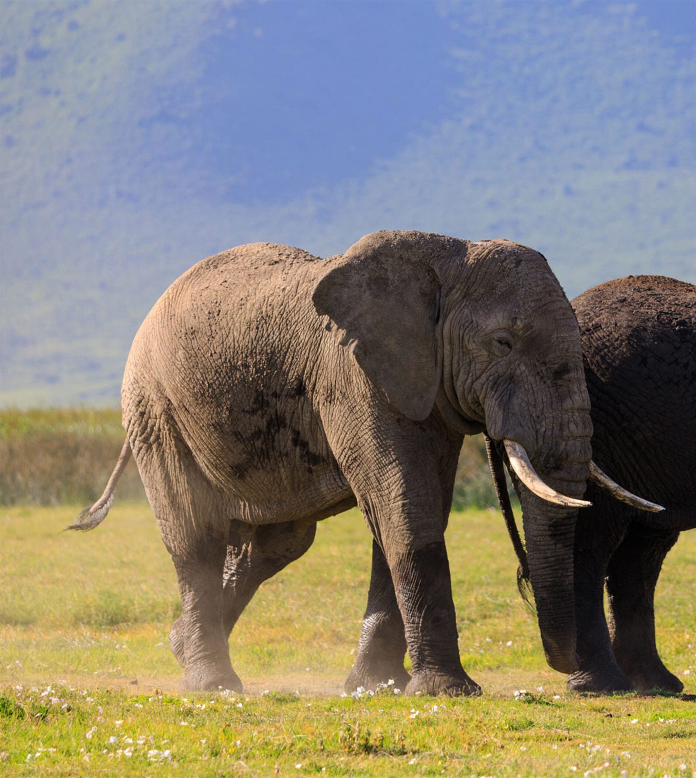 a-best-wildlife-vacations-in-pictures-2023-11-27-05-30-50-utc
