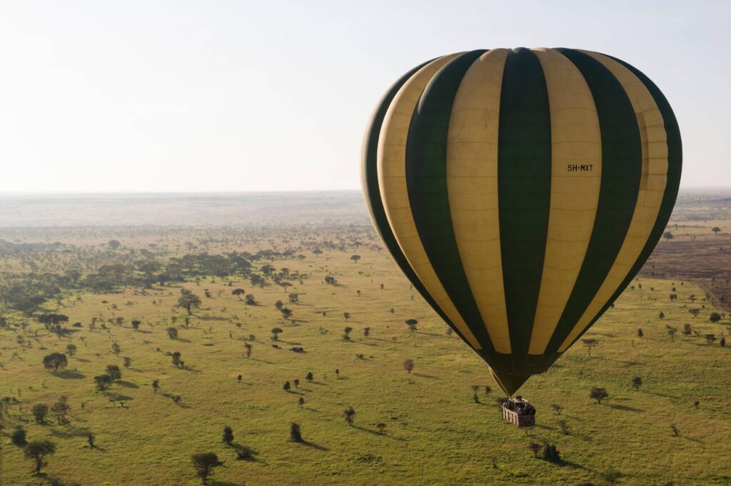 4 Days Luxury Lodge Safari Tanzania